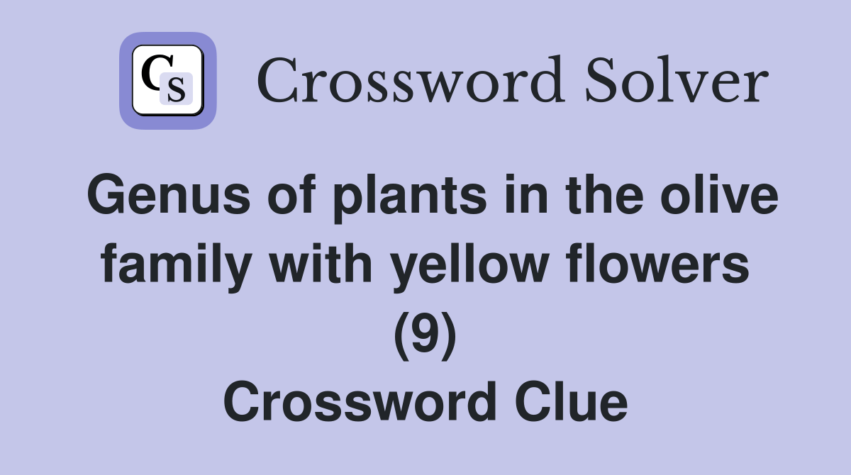 Genus of plants in the olive family with yellow flowers (9) Crossword